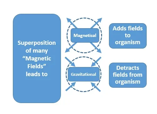 Magnetical_gravitational_fields